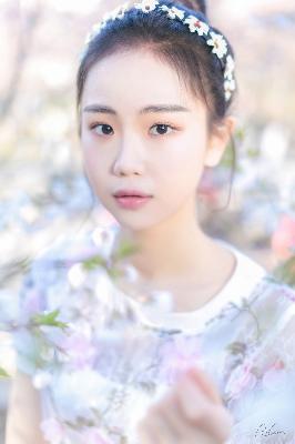 成全视频电视剧免费在线免费观看